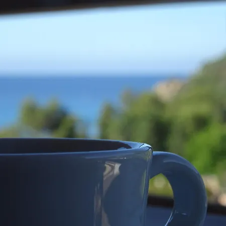 Vendégház Casa Daniela 4*