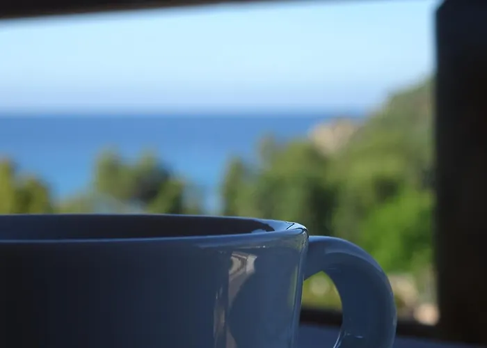 Vendégház Casa Daniela 4*